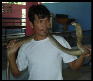 snake farmer