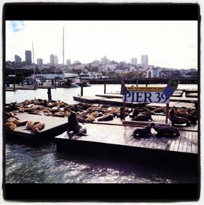 Pier 39 2